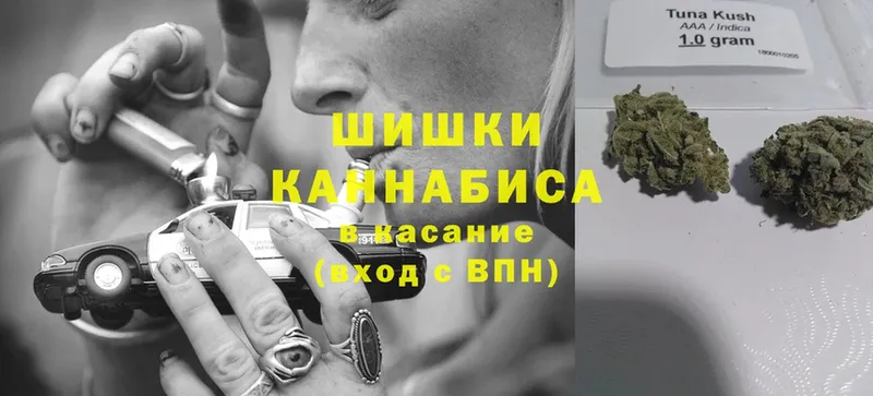 площадка как зайти  Ульяновск  Канабис OG Kush 